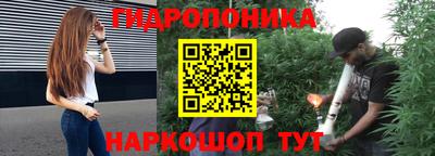 СК Пугачёв