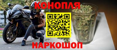 СК Пугачёв