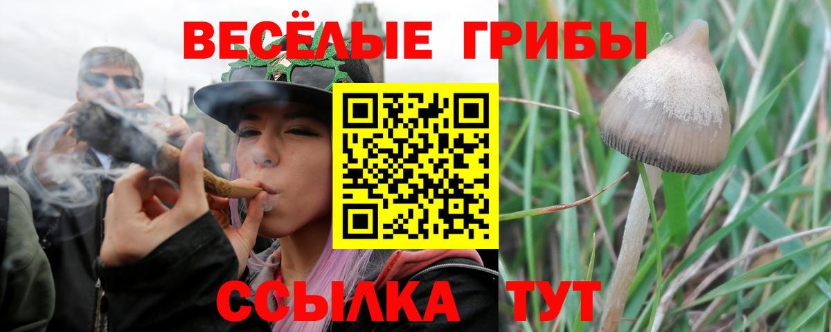 Галлюциногенные грибы ЛСД  Галлюциногенные грибы Psilocybine cubensis  Вход с VPN  Оренбург 